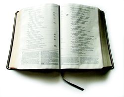 Open Bible