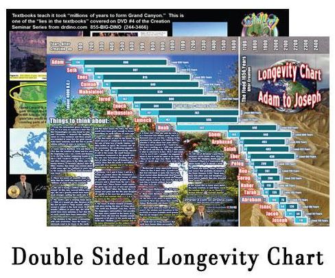 Life span chart of Old Testament people. $8
